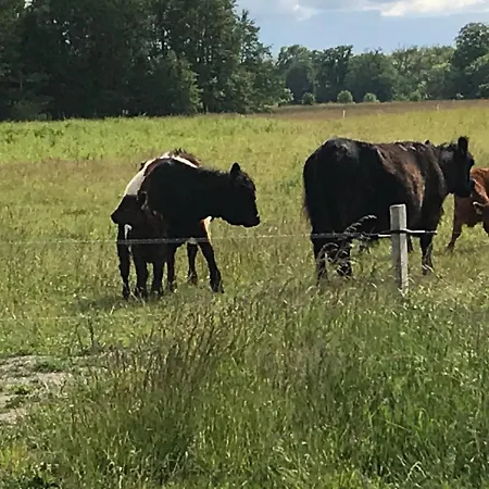 Honsehuset Semesterbostad