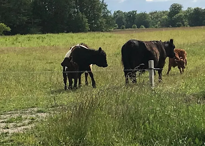 Honsehuset 度假居